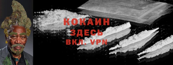 крисы Киренск