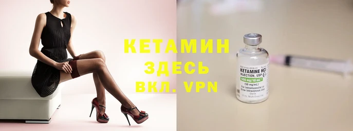 крисы Киренск