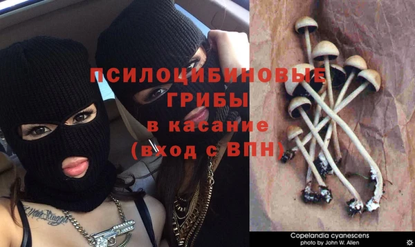 кокаин VHQ Кинешма