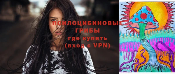крисы Киренск